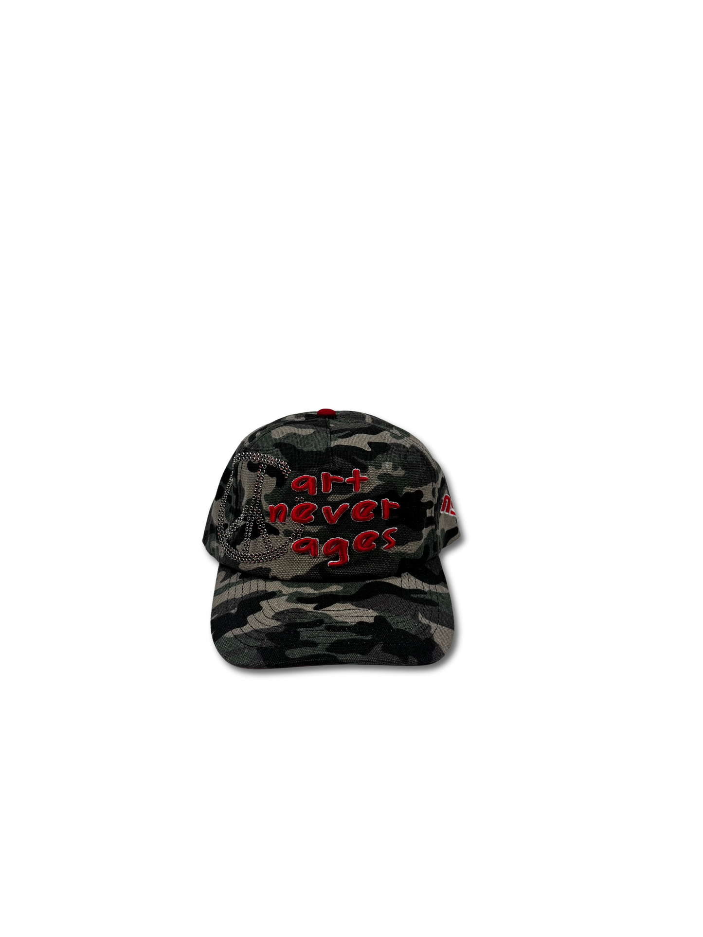Art Piece Cap